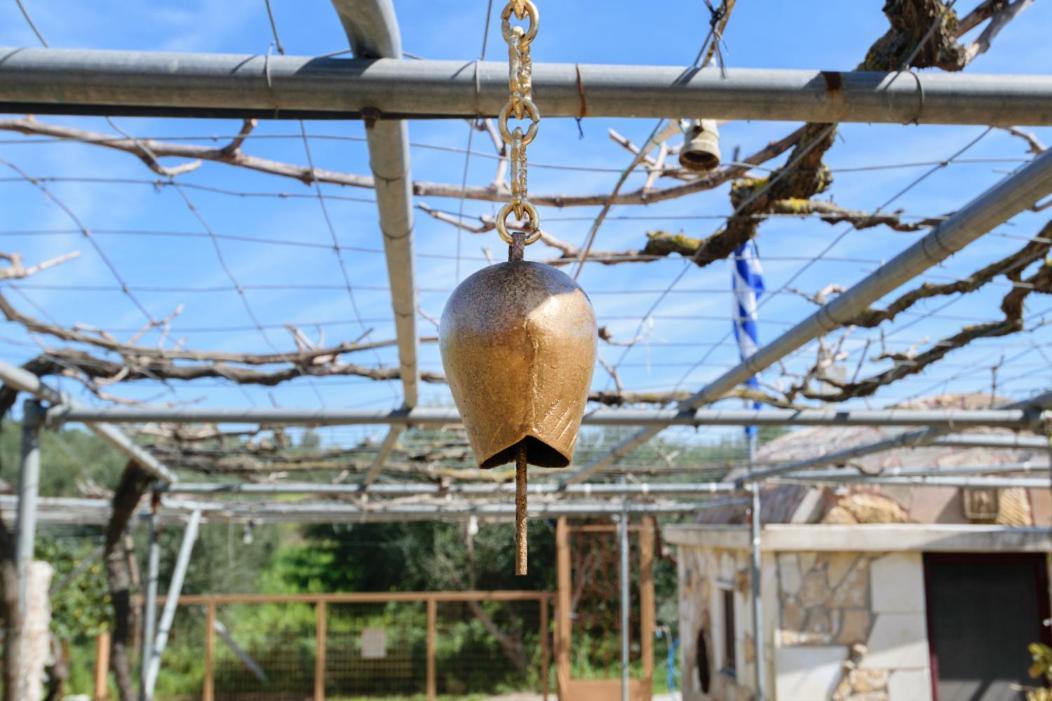 Dimitris'S Country House Agia  エクステリア 写真