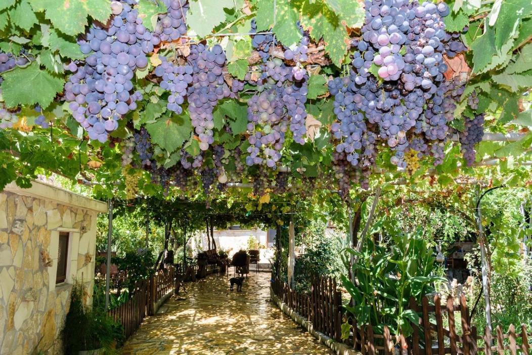 Dimitris'S Country House Agia  エクステリア 写真