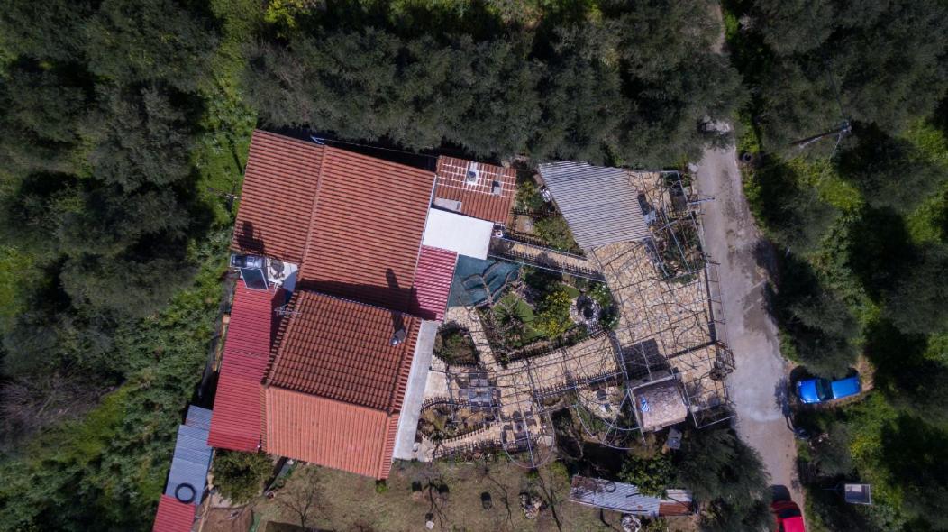 Dimitris'S Country House Agia  エクステリア 写真