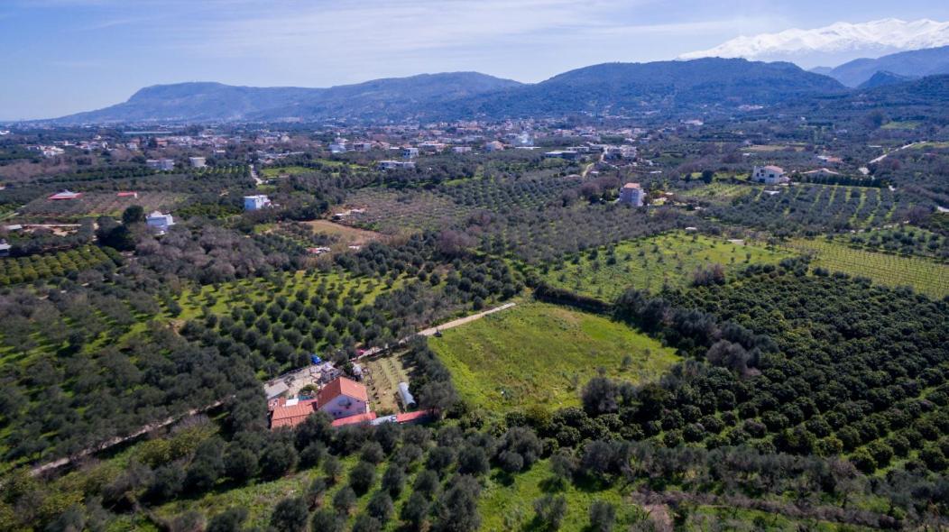 Dimitris'S Country House Agia  エクステリア 写真