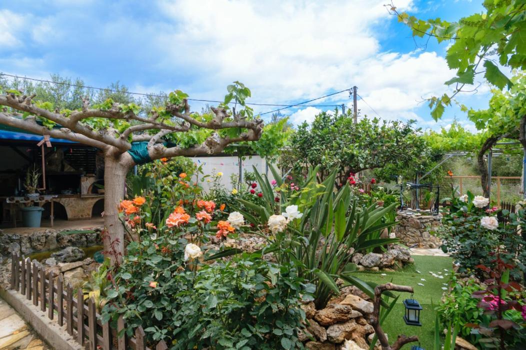 Dimitris'S Country House Agia  エクステリア 写真