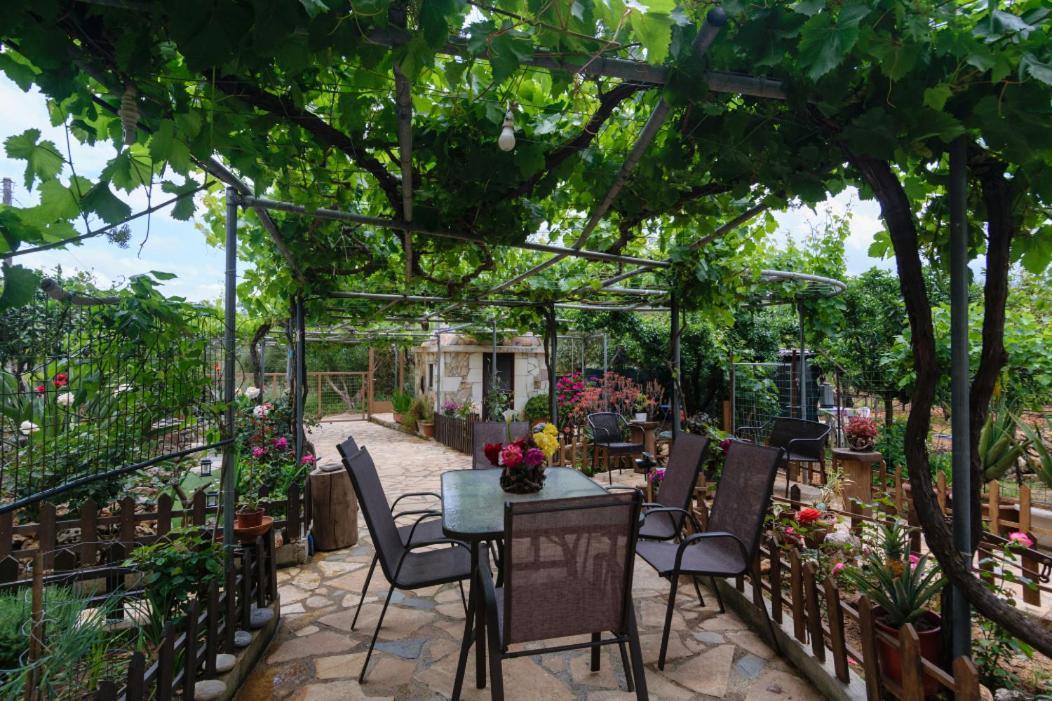 Dimitris'S Country House Agia  エクステリア 写真