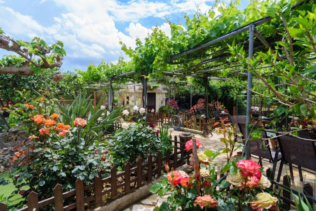 Dimitris'S Country House Agia  エクステリア 写真