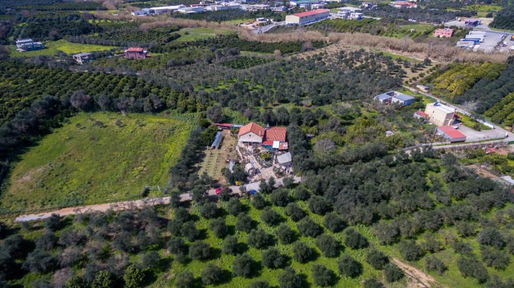 Dimitris'S Country House Agia  エクステリア 写真