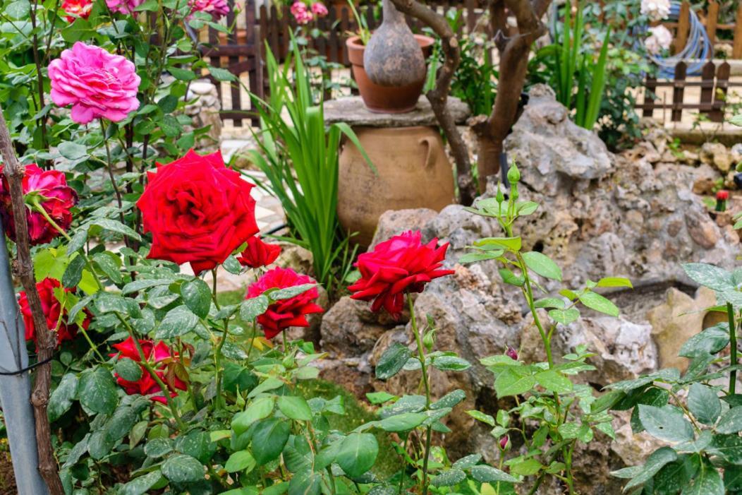 Dimitris'S Country House Agia  エクステリア 写真