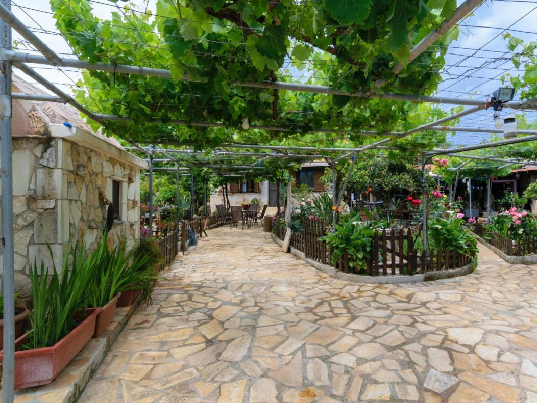 Dimitris'S Country House Agia  エクステリア 写真